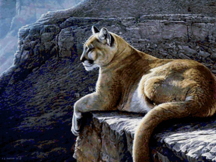 хищница - животные - предпросмотр