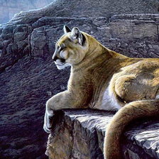 Схема вышивки «хищница»