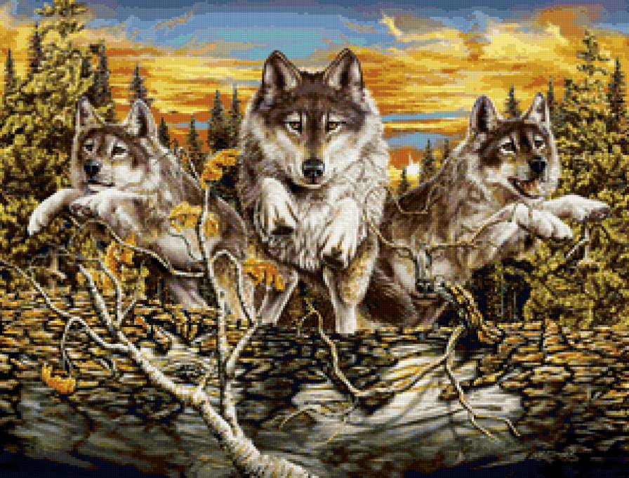 На охоте - волки, природа, животные, анималисты, на охоте - предпросмотр