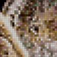 Предпросмотр схемы вышивки «пума» (№11140)