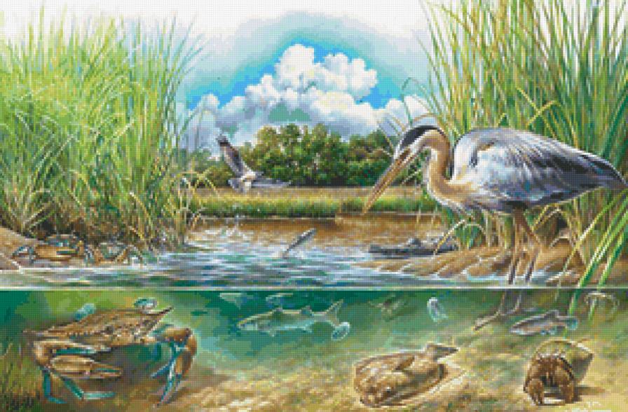 пруд - предпросмотр