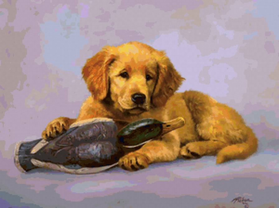 маленький охотник - предпросмотр