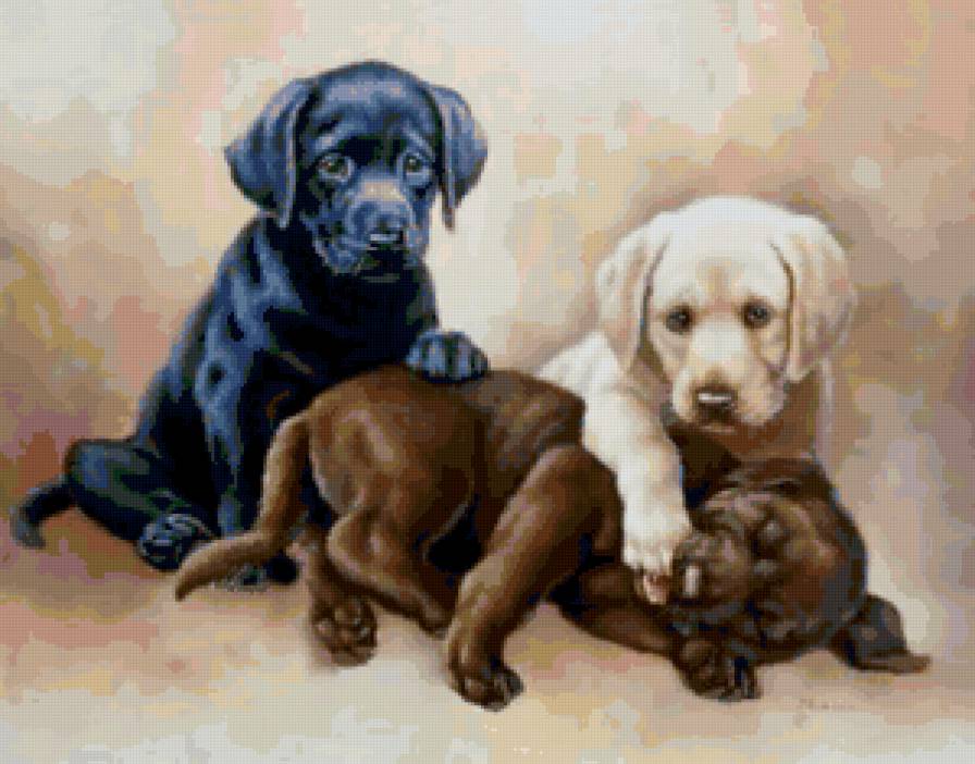 Щенки - животные, собаки - предпросмотр