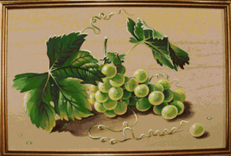 виноград - виноград, листья, гроздь - предпросмотр