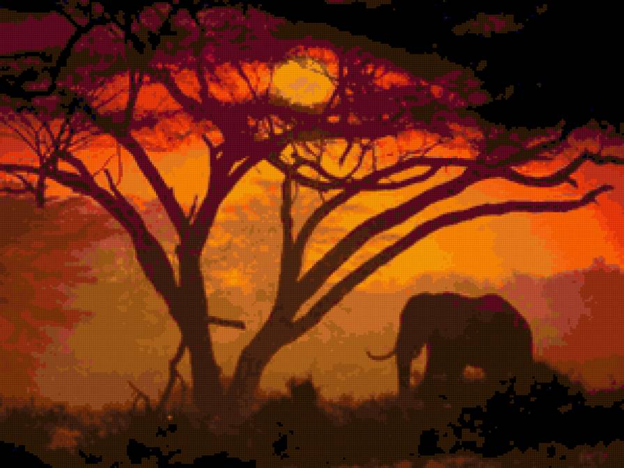 Слон на закате)) - картина, на закате, слон, животные, красиво, дерево, закат - предпросмотр