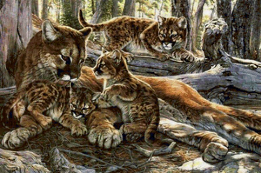 семья - котята, семья, кошка, мама, кошки, дикие кошки - предпросмотр