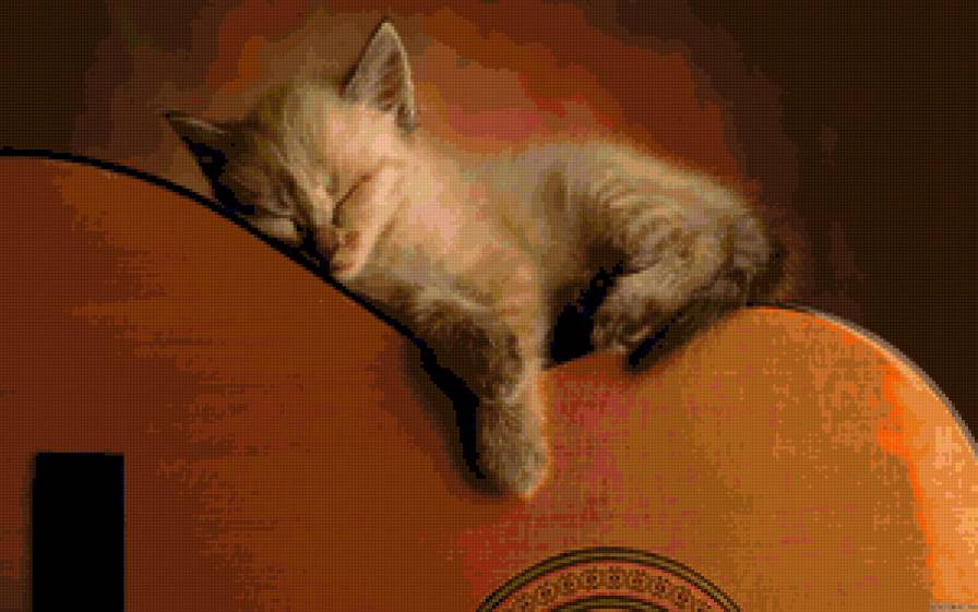 спящий котенок - гитара, котенок, сон - предпросмотр