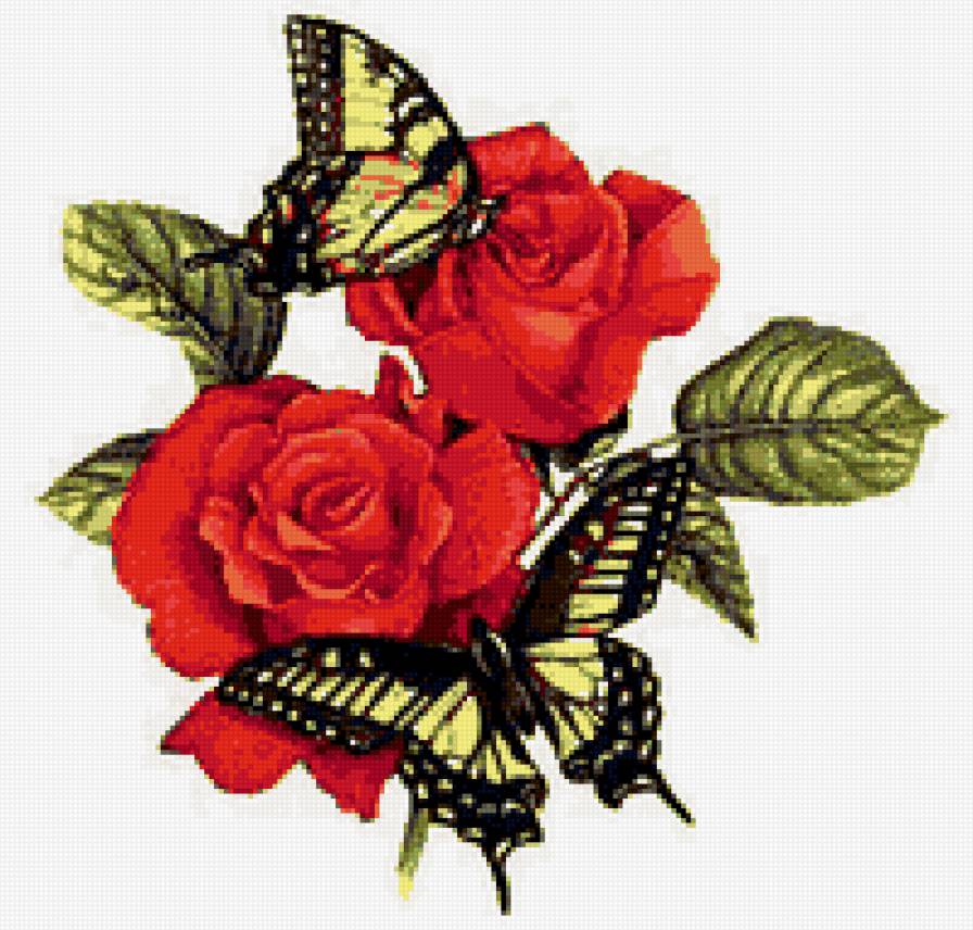 бабочки на розах - предпросмотр