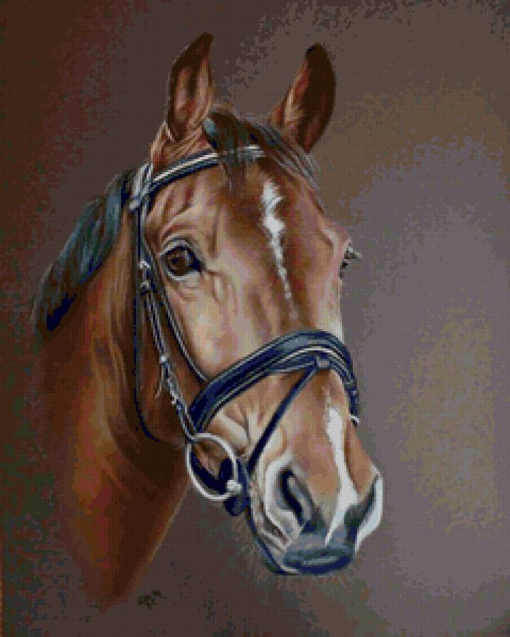 №12127 - предпросмотр