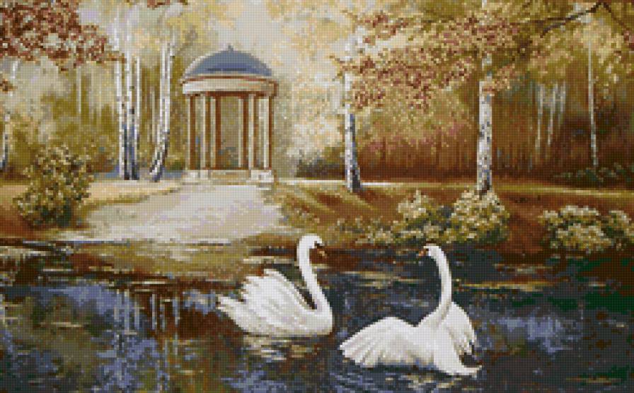 Лебеди - пара, верность, природа, птицы, вода - предпросмотр