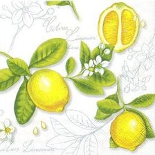 Схема вышивки «Подушка "Лимончики"»