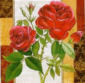 Розы - роза, розочки, цветы, розы, флора, душистые розы, цветок - оригинал