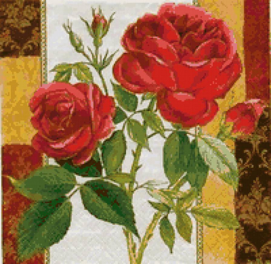 Розы - душистые розы, розочки, роза, цветы, розы, цветок, флора - предпросмотр