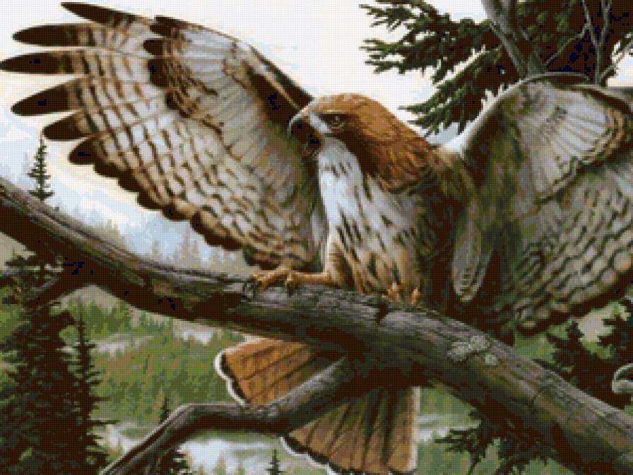 птица - животные - предпросмотр