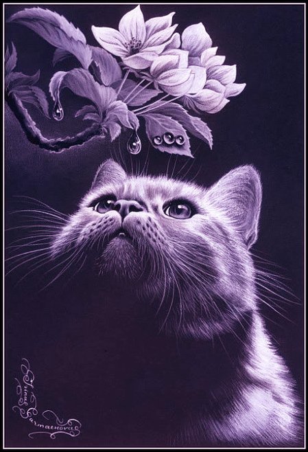 Кошки - анималисты, животные, картина, кошки - оригинал