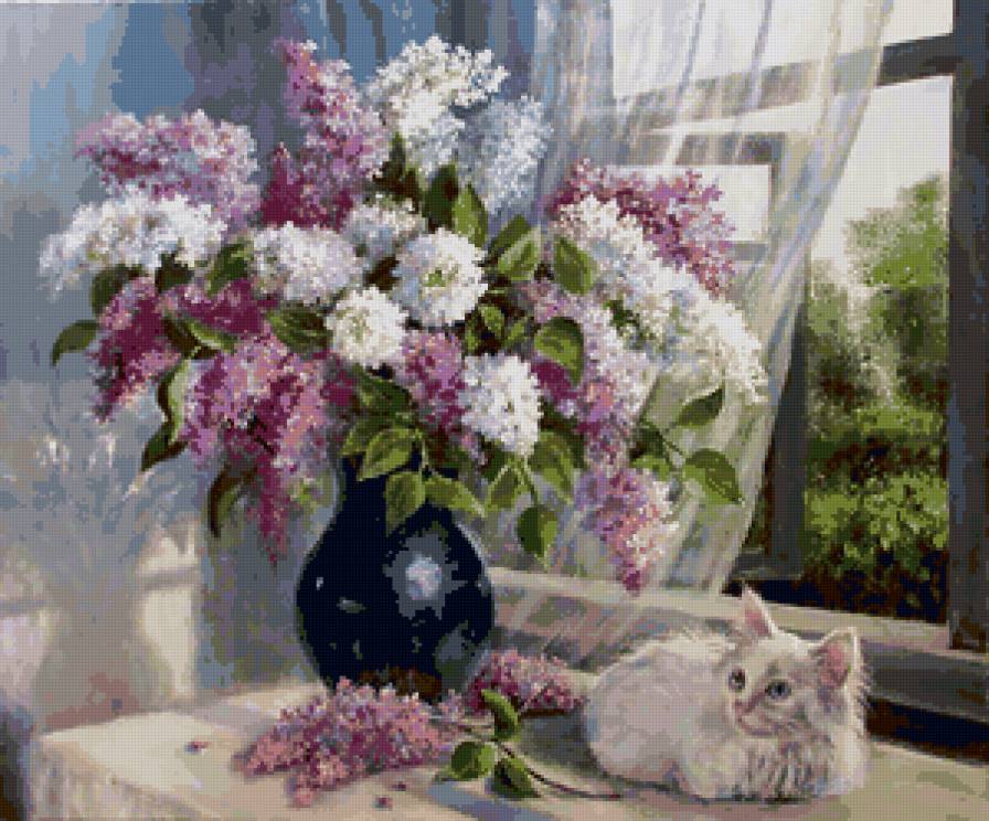 букет - цветы, котенок, сирень - предпросмотр