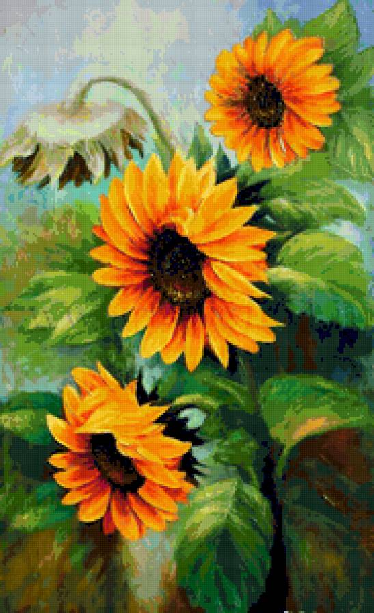 №13180 - предпросмотр