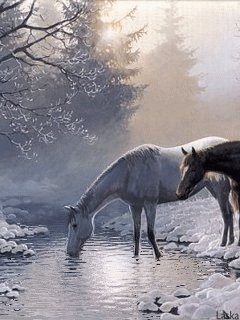 на водопое - пейзаж, утро, лошади, природа - оригинал