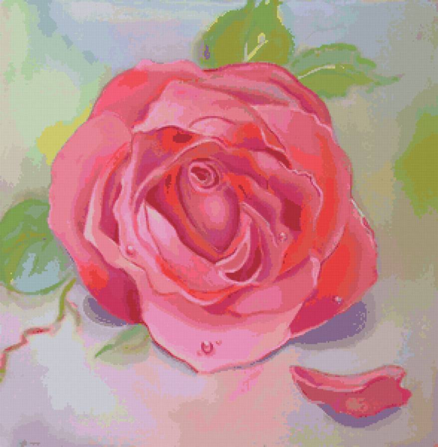 Роза - розы, цветы - предпросмотр