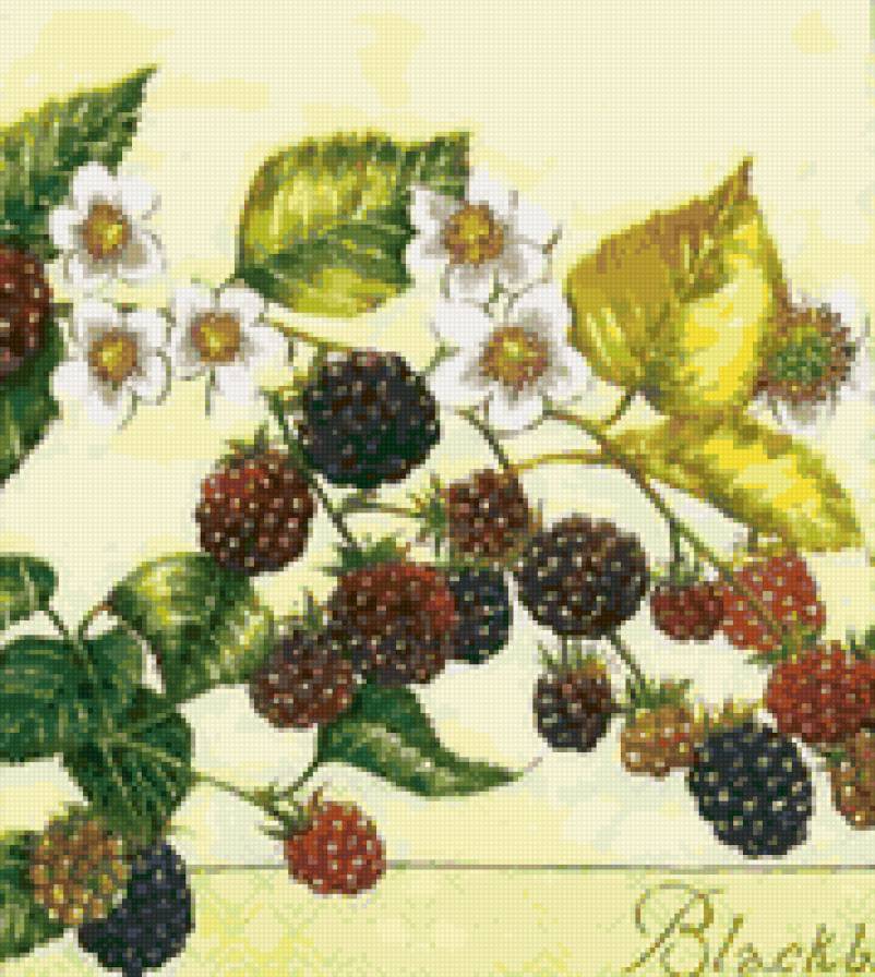 Ежевика - ягоды, подушка, панно, ягодки, красота, ежевика, ягода - предпросмотр