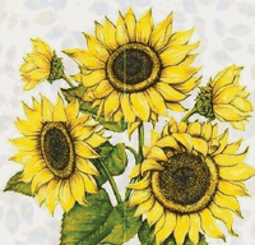 Подсолнухи - панно, подсолнух, подсолнухи, полевые цветы, цветы - предпросмотр