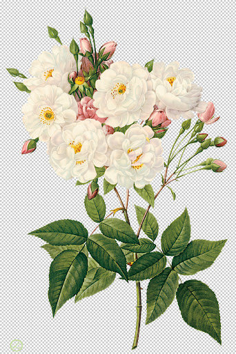 №13870 - цветы - оригинал