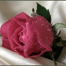 Схема вышивки «№14187»