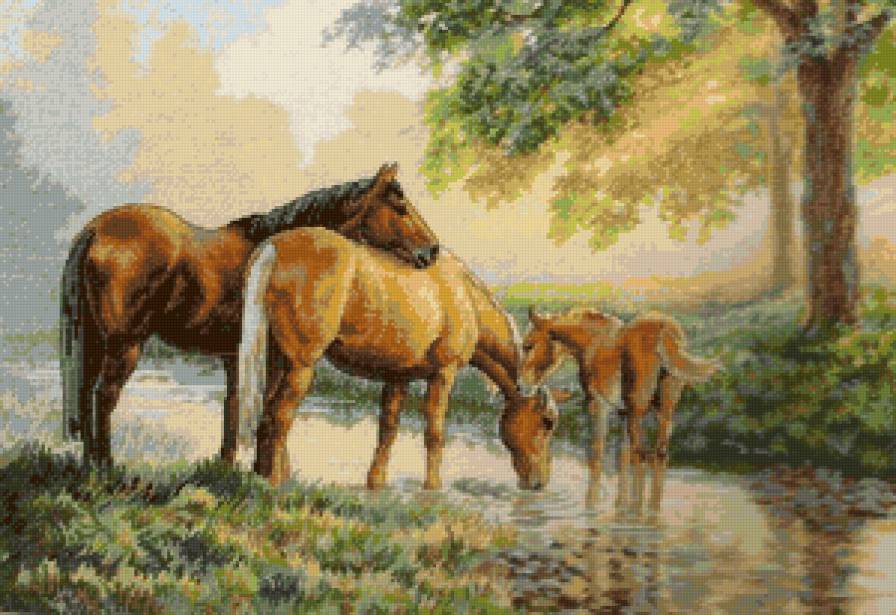 №14300 - лошади, животные, пейзаж - предпросмотр