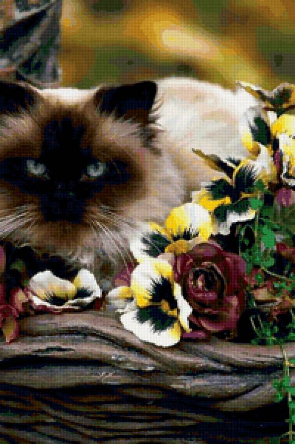 котик - животные - предпросмотр