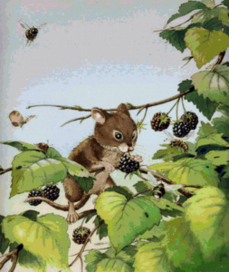 №14314 - предпросмотр