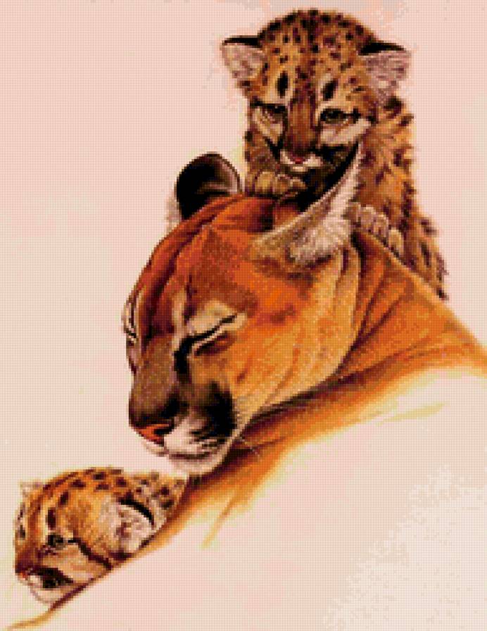 Дикие хищные кошки - львица, дикие хищные кошки, мамина нежность, животные, лев - предпросмотр