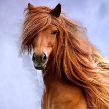 Схема вышивки «лошадка»