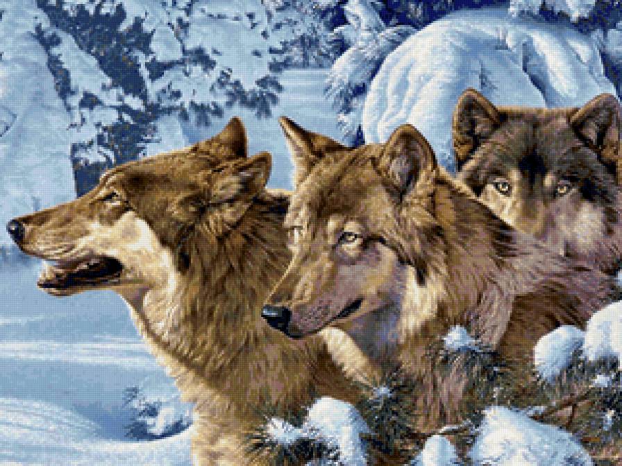 Волки - пейзаж, живопись, волки, животные - предпросмотр
