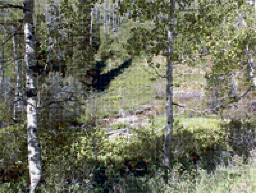 Природа - природа - предпросмотр