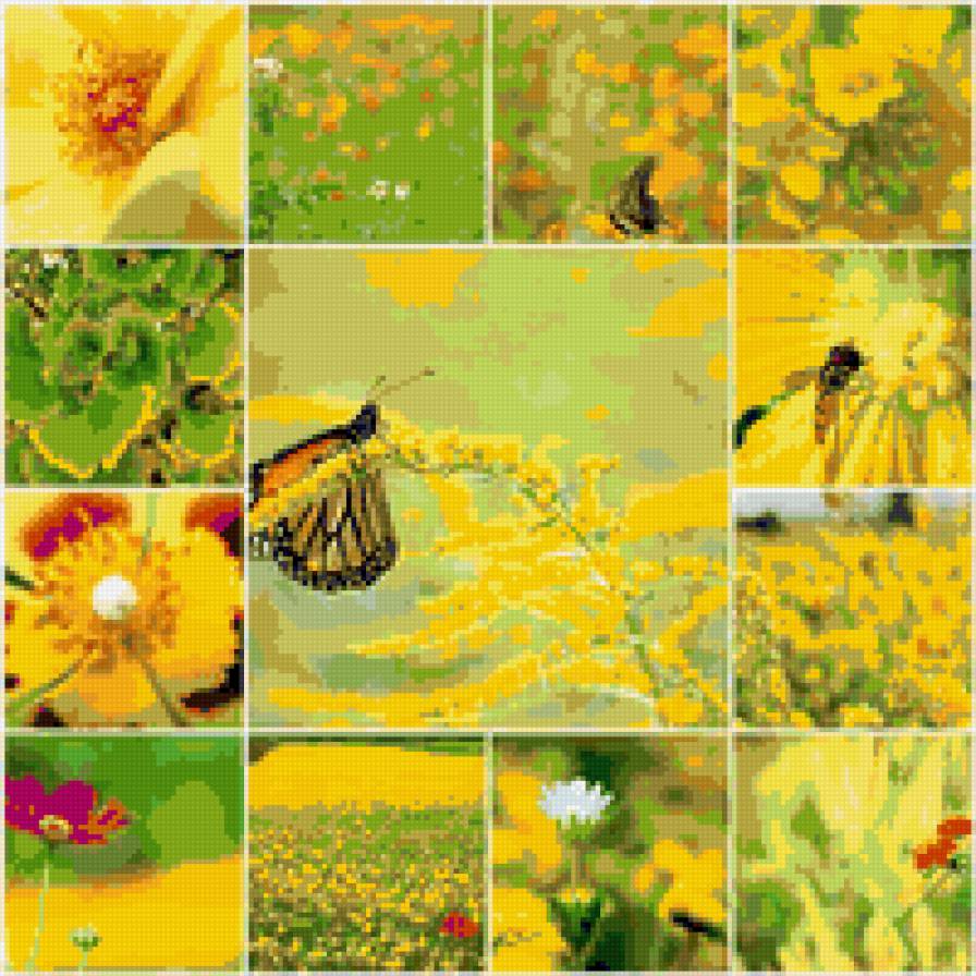 цветы - предпросмотр