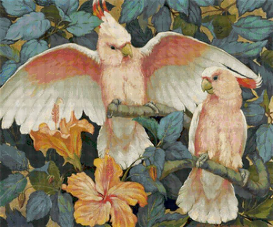 попугаи - птицы - предпросмотр