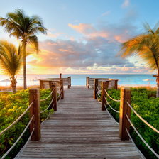 Схема вышивки «природа»