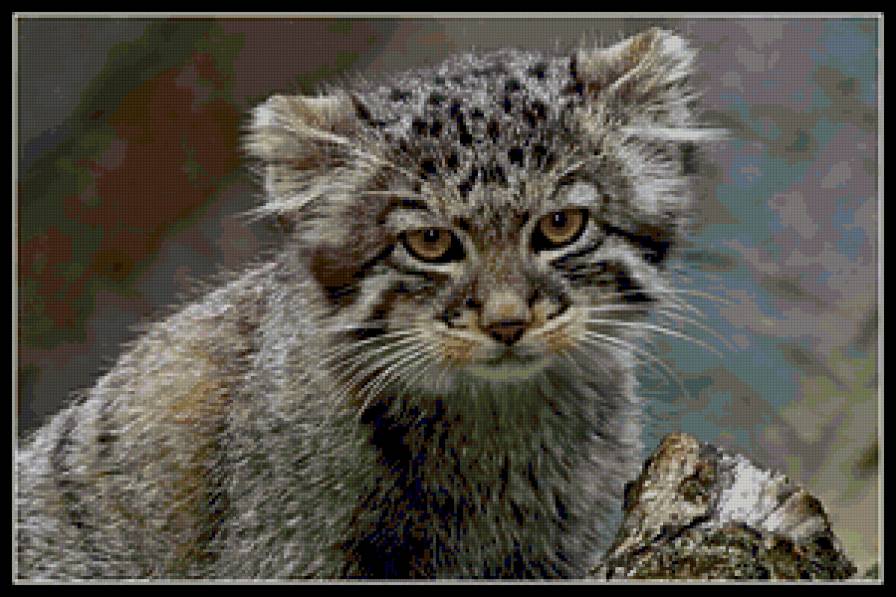 №15253 - предпросмотр