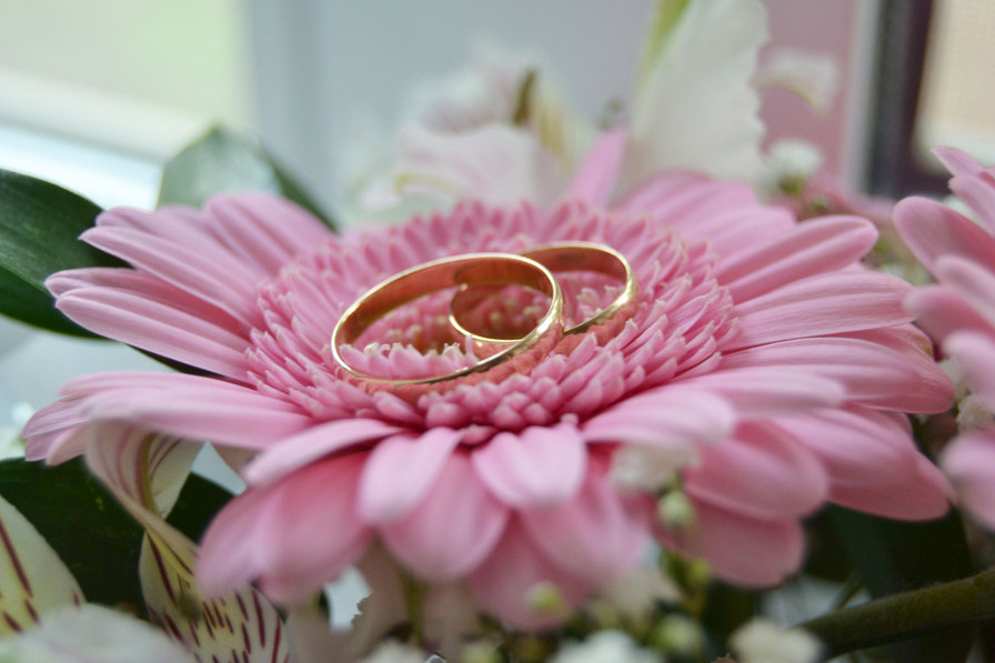 цветок и кольца - оригинал