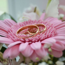 цветок и кольца