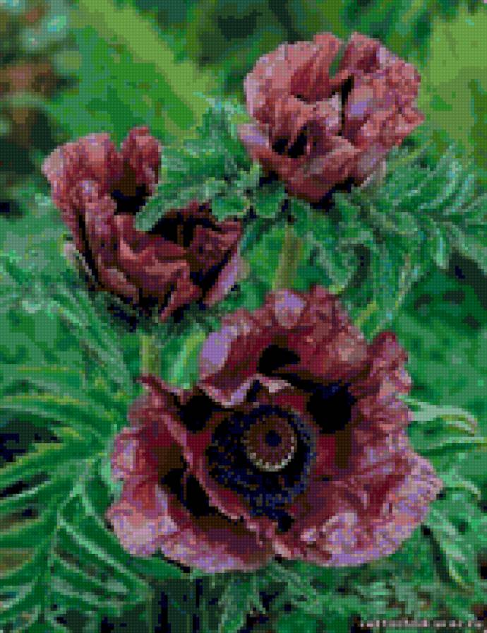 №15857 - предпросмотр