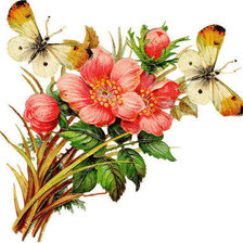 Схема вышивки «Цветочки с бабочками))»