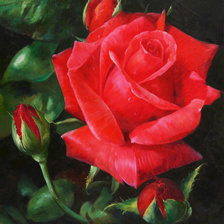 Схема вышивки «Яркая красная роза)»