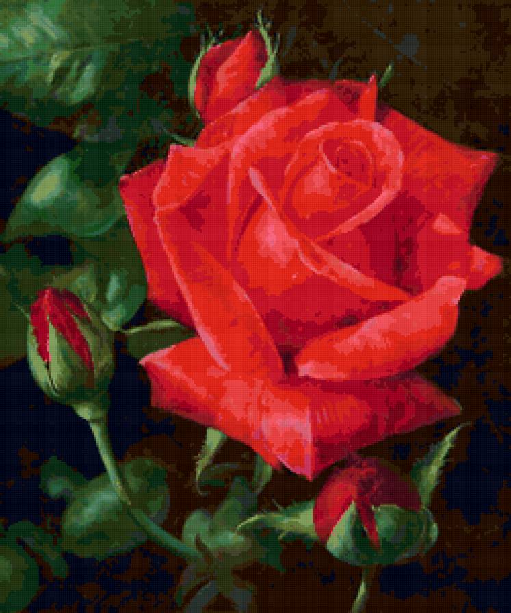 Яркая красная роза) - красная роза, цветы, flowers, роза, бутон - предпросмотр