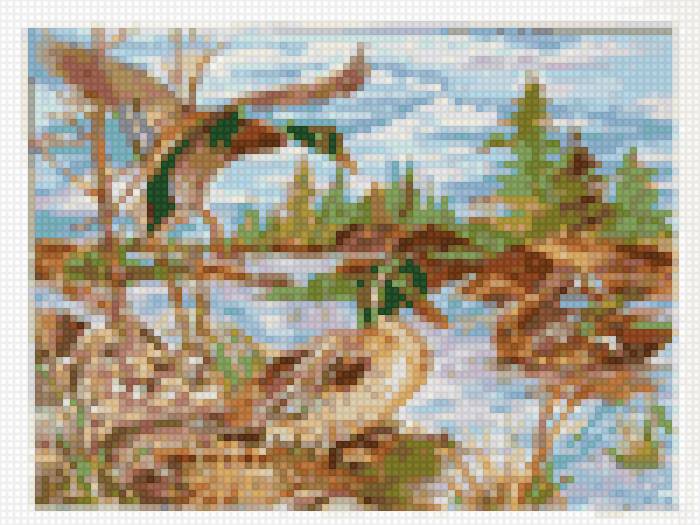 утки - предпросмотр