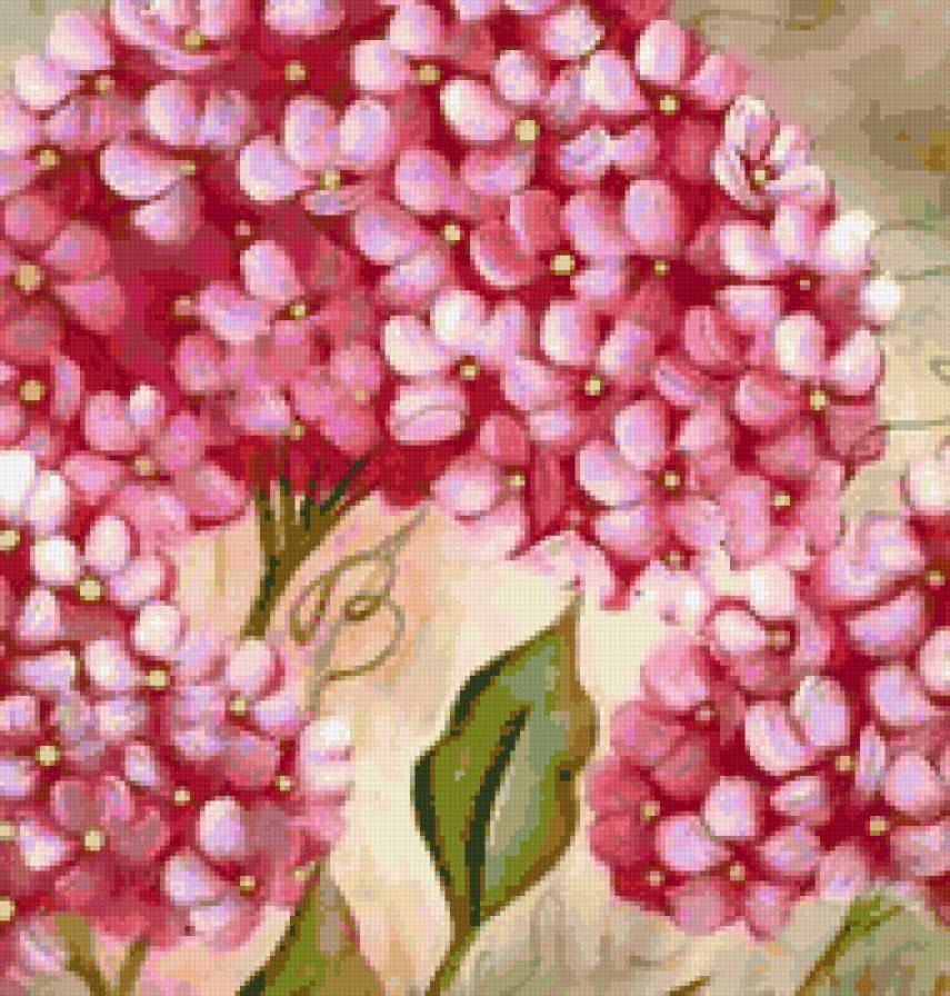 гортензия - гортензия, цветы, цветочек, флора, нежные лепестки, подушка - предпросмотр