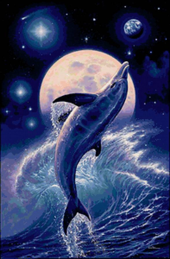 Дельфины - животные, природа, дельфины, море, рыбы - предпросмотр