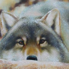 Схема вышивки «Рева Анималист»