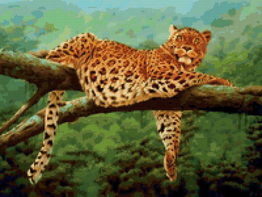 звери - гепард - предпросмотр