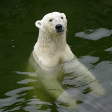 Схема вышивки «4521»